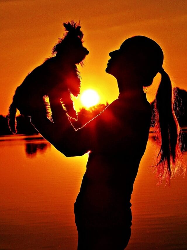 4 Zodiac Signs That Will Strengthen Friendships in 2025