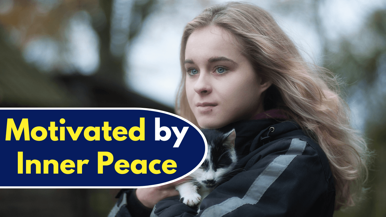 Zodiac Signs Motivated by Inner Peace