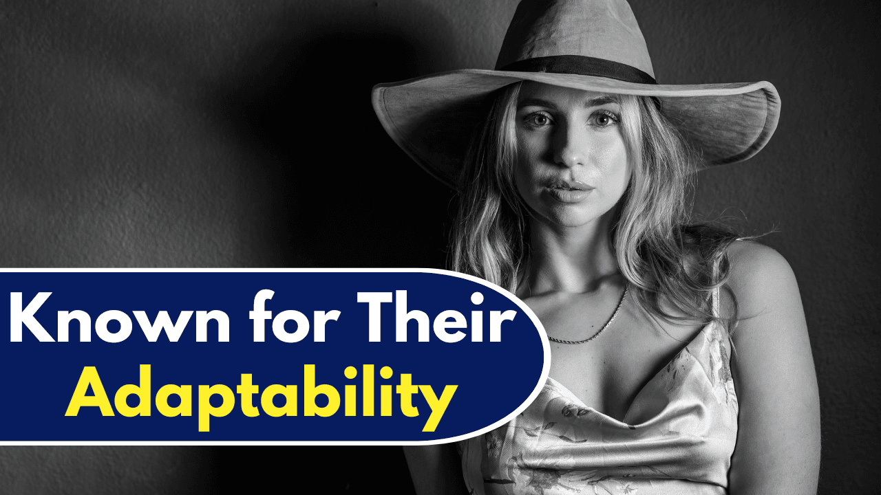Zodiac Signs Known for Their Adaptability