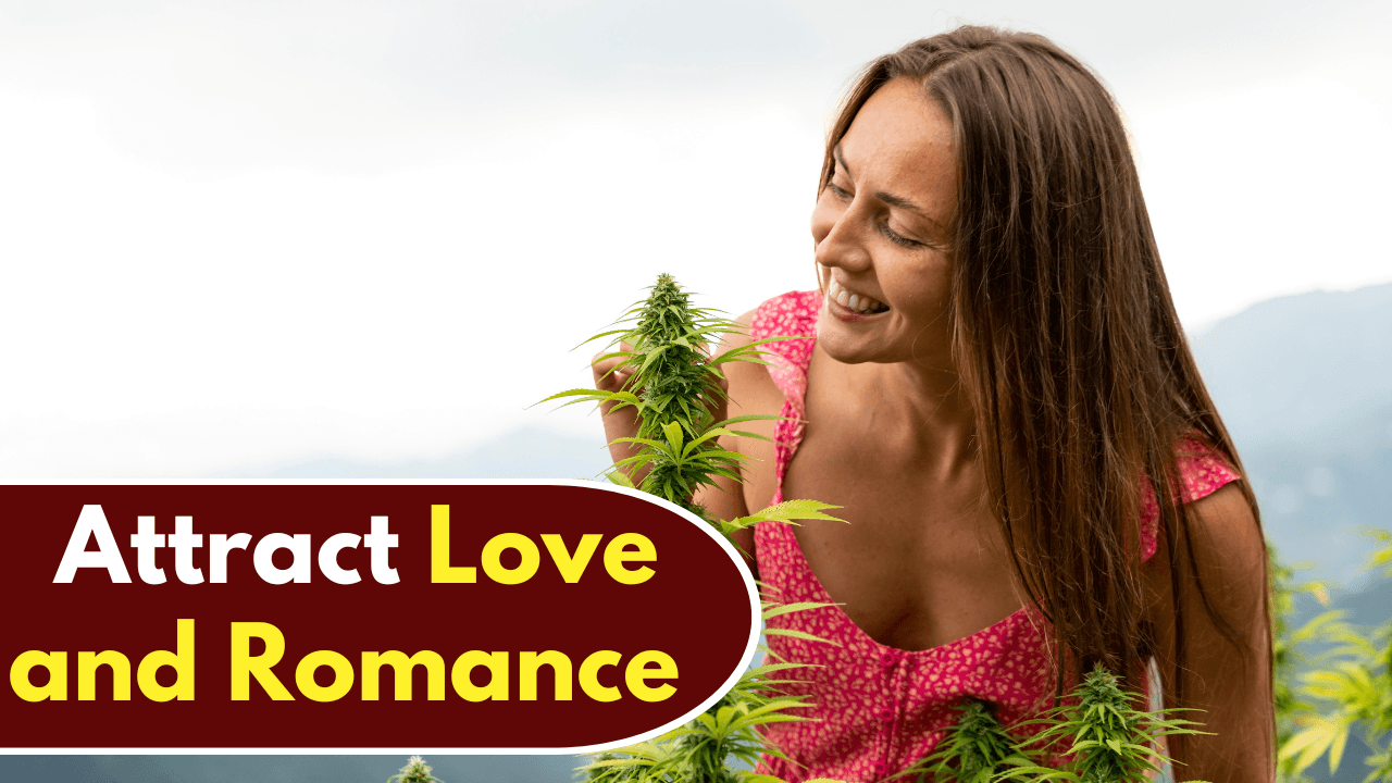 Zodiac Signs That Will Attract Love and Romance